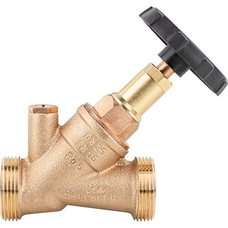Vanne à flux libre KEMPER RG avec bouchon de vidange G1/4, AG DN40 (1 1/2") (1/3)
