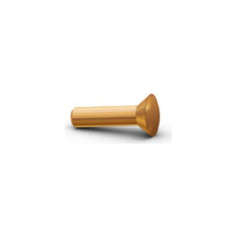 Rivet à frapper Tête fraisée bombée TFB 2.6X20 Diamètre de tête: 4 Acier laitonne - 1000 pièces