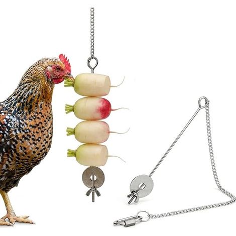 Automatic Chicken Feeder Hanging Food Dispenser Stainless Steel Fruit Fork with Hook Hanging Chicken Vegetable Fruit Toy for Chickens Accessories (1/5)