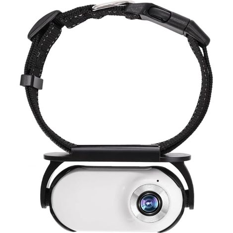 Collier Caméra pour Chat avec Carte Mémoire 8 Go, Petite Sportive sans Fil Enregistrement Vidéo 1080p Haute Définition, Corporelle Animaux de (1/5)
