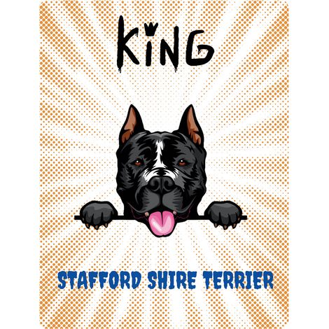 Placa del rey Stafford - 20x28 cm