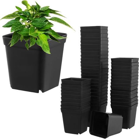 100pcs 6cm Square Plastic Plant Pots for Starting Seeds, Plant Seeds, Succulents and Cuttings (1/5)