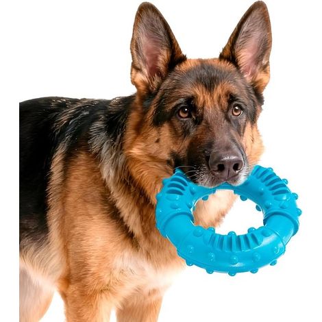 Juguete de goma indestructible para perros que muerden con fuerza,juguete para perros indestructible,medianos y grandes (14,5 cm)