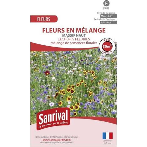 Jachère Fleurie pour massif haut