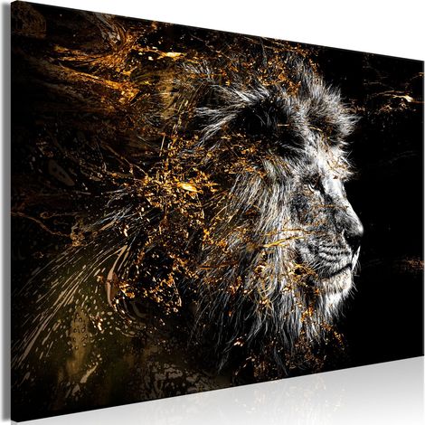 Tableau Roi du Soleil (1 Partie) Large - 60 x 40 cm (1/4)