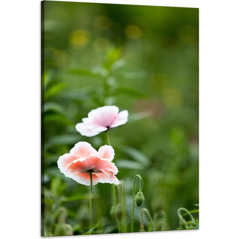 Lienzo impreso con diseño de amapolas (Botánica) de 60x90 cm.