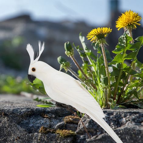 Perroquet artificiel en mousse de 27,5 cm, mignon et réaliste, pour la décoration de jardin et d'intérieur. (1/5)