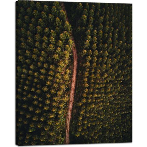 Stampa su tela "Strada naturalistica vista dall'alto" 40x50