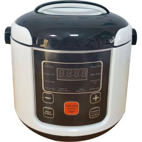 Mini Cuiseur à Riz Portable 2L 24V, Cuiseur Riz Voiture Camion, Appareil Cuisson Sécurisé, Cuiseur Repas Chauffant 12V 24V 120W, Autocuiseur Portable Voyage Camping, Cuiseur (1/5)
