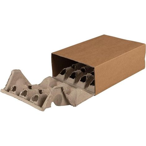 Polsterbox L-BOXeco basic Maße 200x142x63mm Noppenhöhe 25mm TRANSPAK (1/3)