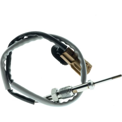 Capteur de température des gaz d'échappement pour Renault Grand Scenic Laguna II Megane II/III (1/3)