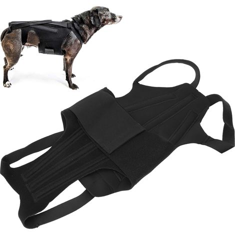 Hunde-Rückengurt aus strapazierfähigem, steifem und flexiblem Polyester, ideal zum Spazierengehen (Größe S). (1/5)