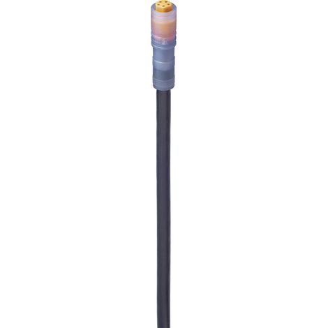 Lumberg Automation 934871019-1 Sensor-/Aktor-Anschlussleitung M8 Kupplung, gerade 2.00 m Polzahl Sen