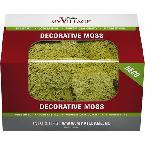 My Village MY VILLAGE - Materiale decorativo lichene 50gr Cod. MYD30 (1/5)