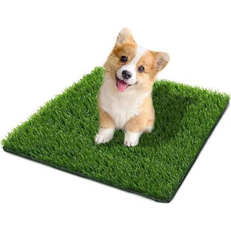 50X60CM Tapis de Gazon Artificiel pour Chien Tapis de Gazon pour Animaux de Compagnie Toilettes pour Chien en Gazon Artificiel Réutilisable pour Dresser Votre Chiot Convient (1/5)