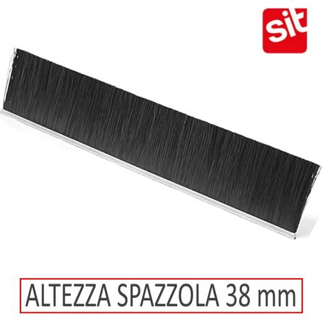 STRIP PORTONI SETOLE PPL 38 m 2,5              SIT (1/2)
