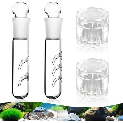 Planarian Traps, 2 or 3 Holes, Clear Glass, Effective for Aquarium, Fish Tank, Snail (1/5)