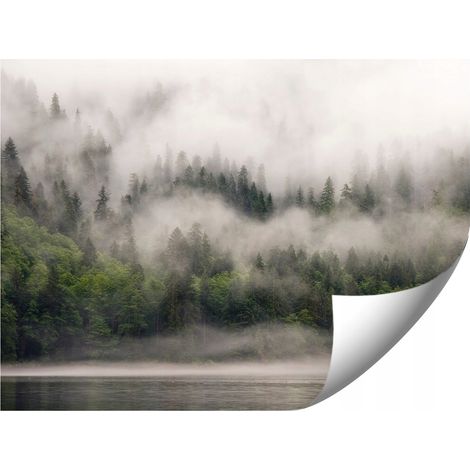 CARTA DA PARATI FOTOGRAFICA 01-FORESTWEFOG PER CAMERA DA LETTO SOGGIORNO CARTA DA PARATI 150x105 (1/5)