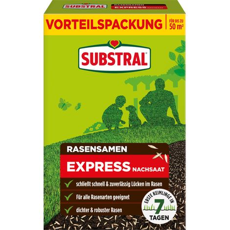 Substral Rasensamen Express Nachsaat 1 kg für ca. 50 m² (1/2)