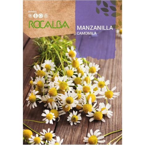 Rokalba Manzanilla Samen Bachelor 1G