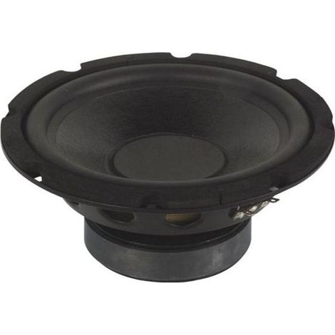 Subwoofer - 6.5 Pouces - 250 W Max - Impédance 8 Ohm - Réponse En Fréquence 50 Hz À 7 kHz - Noir