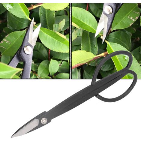 Pair Ciseaux de Jardinage 200MM pour Taille des Fleurs et Bonsaïs Parfaits pour la Coupe des Jeunes Pousses et des Branches-