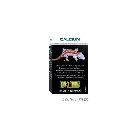 Exo Terra Calcium Power 40 g