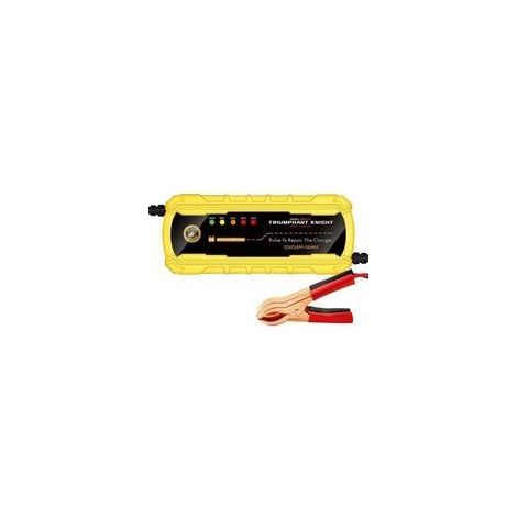 12V 2A Gelbe 12V Batterieladegeräte für Autos und Motorräder im Großhandel, intelligentes Modell mit pulsierender LED-Digitalanzeige, kompatibel mit Blei-Säure-Batterien. (1/5)