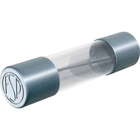 Püschel FSF0,63B Fusible 630mA 250V estándar 10 piezas