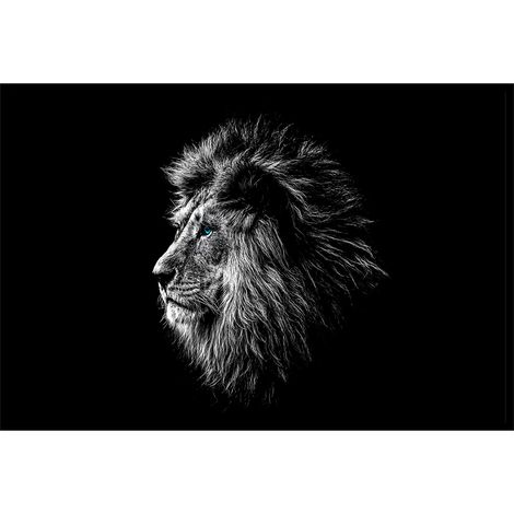 Affiche encadrée lion noir et blanc regard bleu