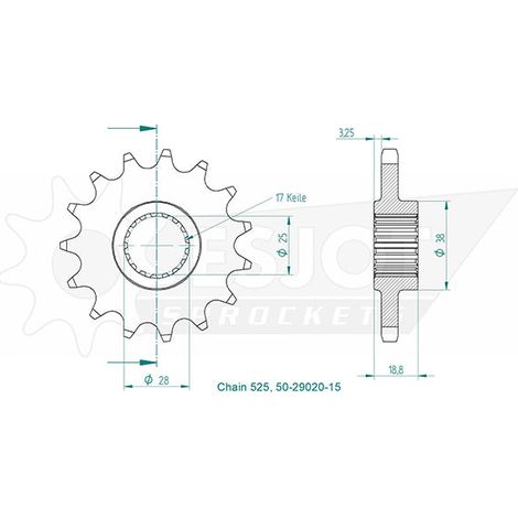 Pignon - 525 - 15 Dents - Made in Germany