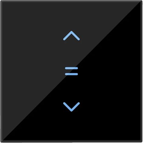Vorhangsteuerungsschalter, Sprachsteuerung, Fernzugriff über App, Schwarz (1/2)