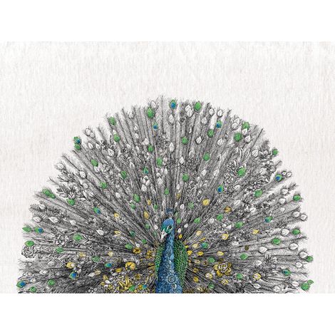 Maxwell &amp Williams Marini Ferlazzo Birds Asciugamano da cucina de Asciugamano da cucina con de Australian Peacock Design de 100% Cotone, 50 x 70 cm - White