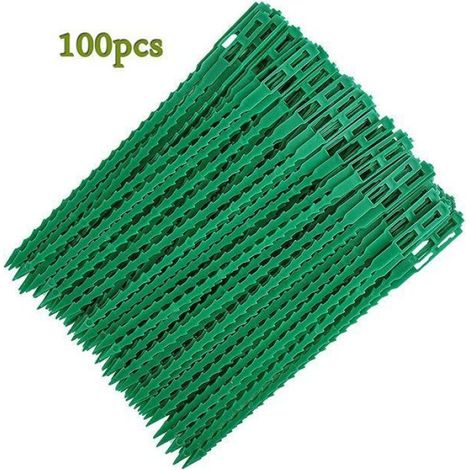 Attaches réglables pour plantes lot de 100 - Liens de serrage en plastique pour jardin - Serre câbles réutilisables, 13cm (1/4)