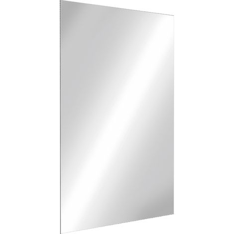 Delabie Spiegel bruchsicher 1x400x600mm Edst. hgl.pol. (1/2)
