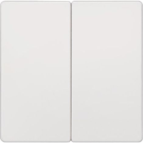 Interrupteur a bascule 2 boutons neutre Blanc electrique 55mmx55 mm type de protection IP20 1pc