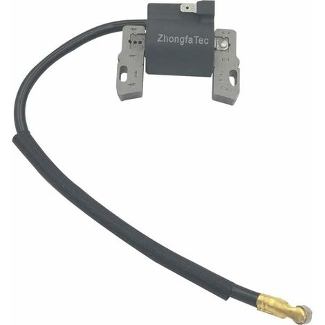 Briggs & Stratton ignition coil, suitable for 492341, 490586, 491312, 495859, 715231, 591459-LIAIKI