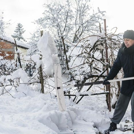 Manche Extensible 193-640 cm Pelle à Neige Télescopique Toiture Déneigement Facile Toit Bordure Aluminium (1/5)