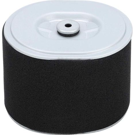 Filtro aria per motore Honda GX390, ricambio AF ZE28, 12 cm x 9 cm. Prestazioni ottimali per tosaerba.