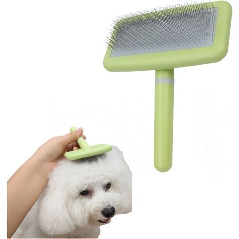 [JAMAIS UTILISÉ] Brosse à poils pour chien (1/4)