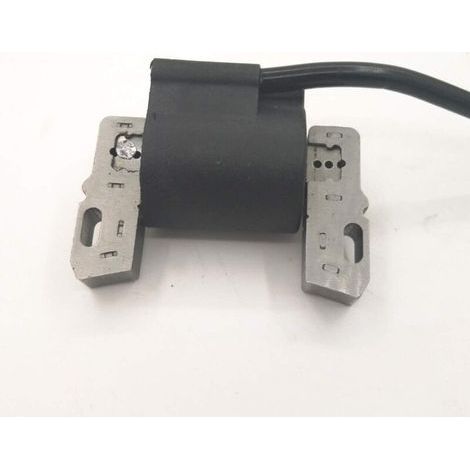 Bobine d'allumage Briggs & Stratton, convient pour 492341, 490586, 491312, 495859, 715231, 591459 (1/3)