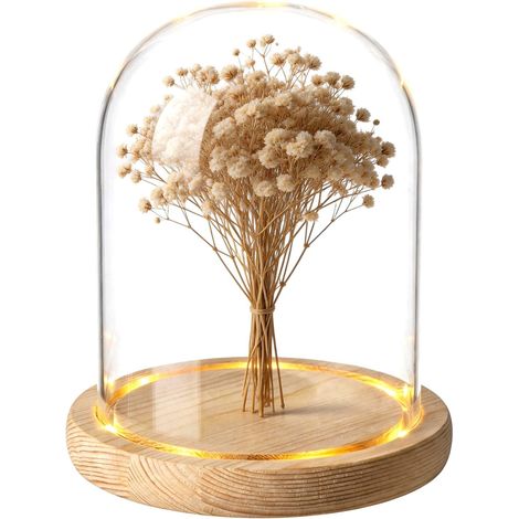 Cloche en Verre avec Socle en Bois Dôme en Verre avec Socle en Bois Naturel, Coupole en Verre Haute Décoration
