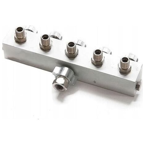Distributeur d'air pour 5 tuyaux G 1/8 – Raccord pour compresseur avec adaptateur 1/4' à 1/8' – Connexions indépendantes