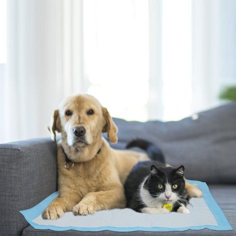 Randaco 120X Tapis pour chiots extrêmement absorbant Tapis de dressage Coussin pour chiens 60x60CM