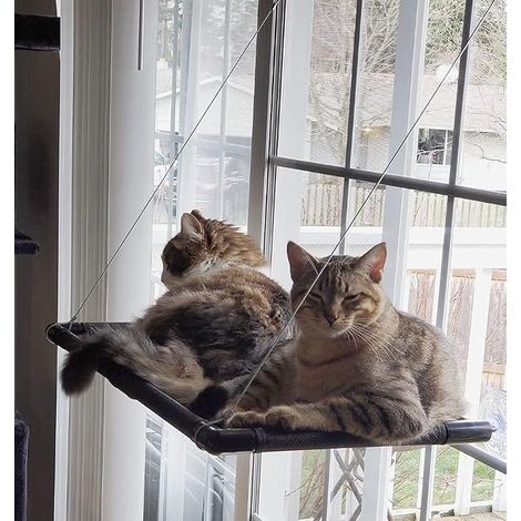 Hammock for large cats up to 20 kg, sun lounger, pet bed, for large windows, suitable for windows with a length ≥ 74 cm and a height ≥ 64 cm (1/5)