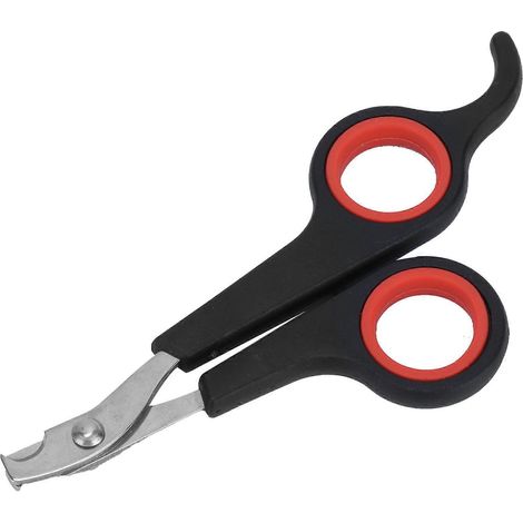 Coupe-ongles pour oiseaux, outil de toilettage en acier inoxydable massif pour une coupe douce et sûre, conception légère et antirouille pour oiseaux, chats et petits animaux de compagnie (1/4)