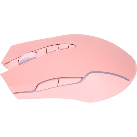 Souris de jeu sans fil 2,4 GHz RGB, cinq niveaux de DPI réglables, design ergonomique, accessoire portable pour ordinateur