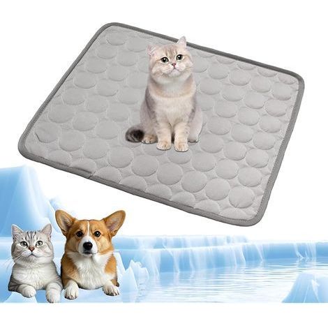 Tapis rafraîchissant pour chien et chat en été chaud, tapis frais et durable pour animaux de compagnie - Accessoire de matelas pour chats et chiots - Pour maison et voyage - 62 x 50 cm - M (1/5)