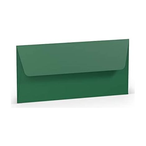 Busta di carta americana 5 pezzi verde agrifoglio