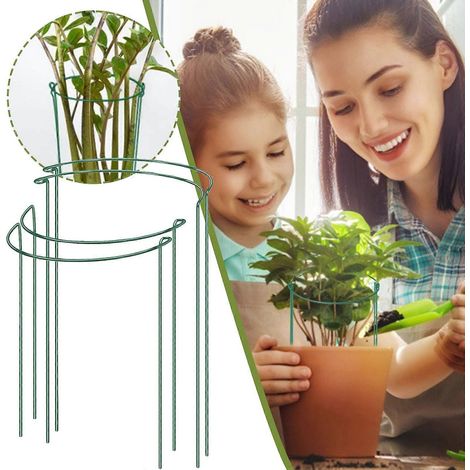 Lot de 2 tuteurs pour plantes, support métallique pour plantes de jardin, anneau de support semi-circulaire vert, cage à plantes, support pour tomates (1/5)